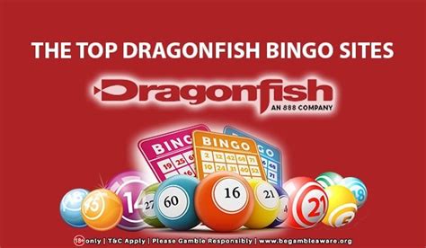 dragonfish bingo sites list  Sue Dawson